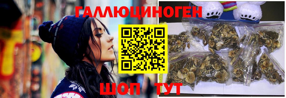 Псилоцибиновые грибы Cubensis Коломна