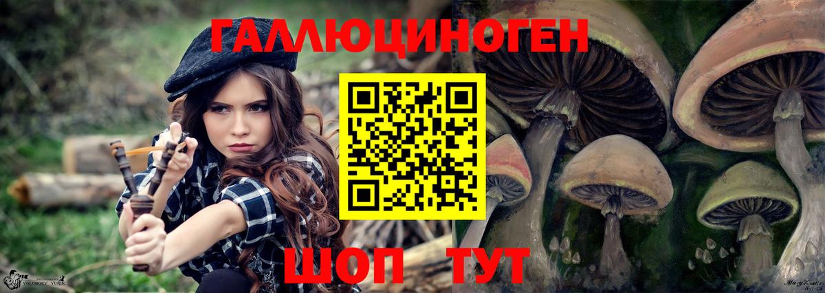 Псилоцибиновые грибы Psilocybe  Вход с VPN  Коломна 