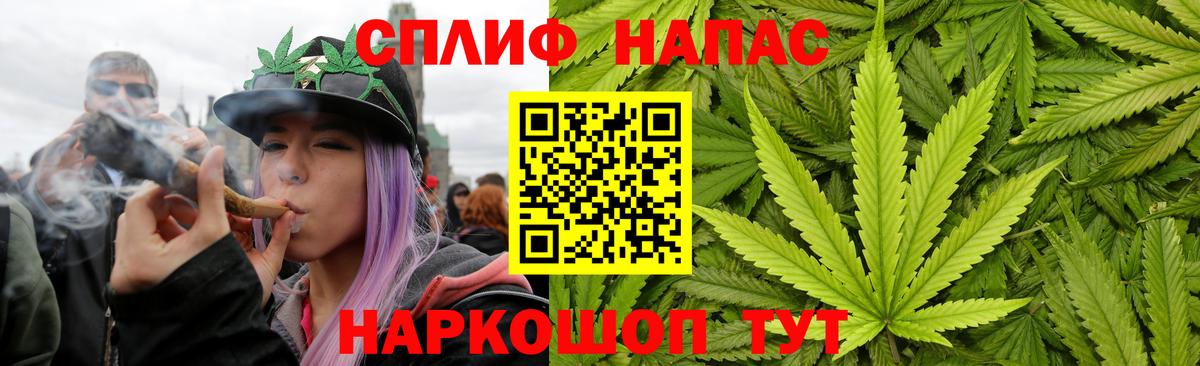 Конопля SATIVA & INDICA  Конопля конопля  Каннабис план  Вход с VPN  Коломна 